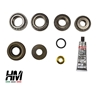 2017085 Differential Rebuild Kit