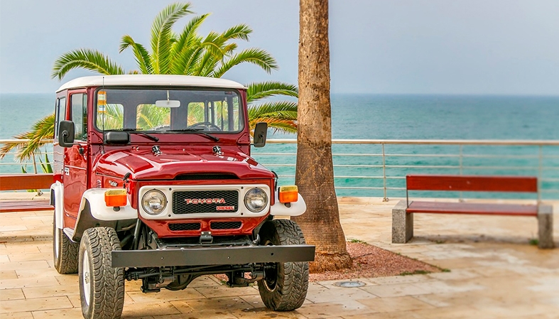 Immagine per la categoria Protezioni per Toyota